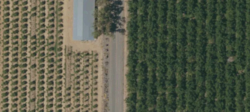11 Acres of Open Land