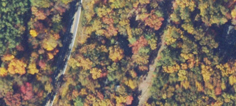 Mount Jackson Specialty Property