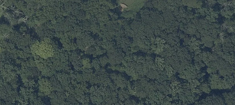 Mount Olive Township Property