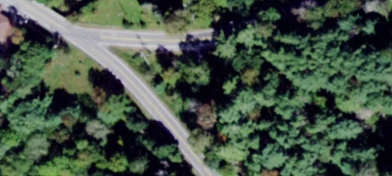 Wooded Land Parcel Near Eldred
