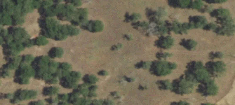 Equestrian and Cattle Ready Property