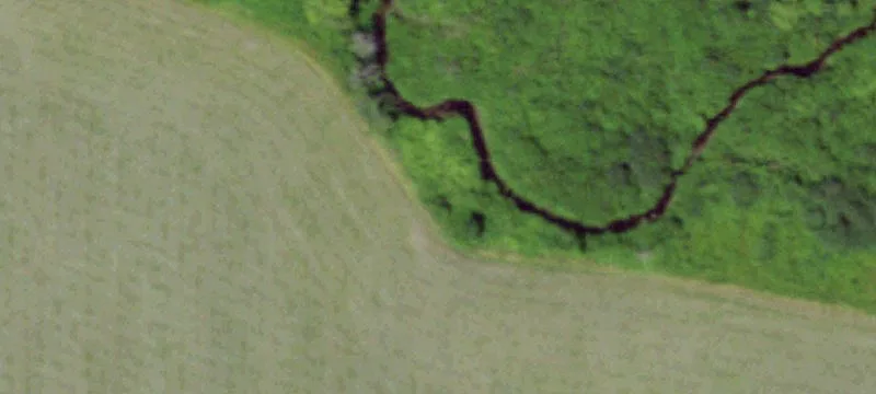 35.36 Acres on Halsey Rd