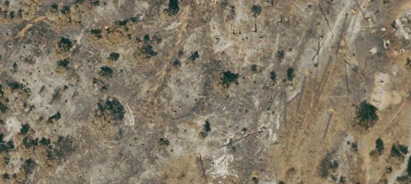 Jerseydale Land with Utilities