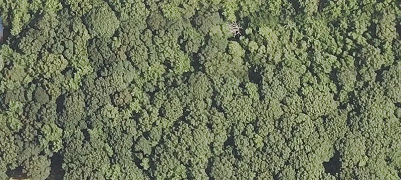 Undeveloped Land Parcel For Sale