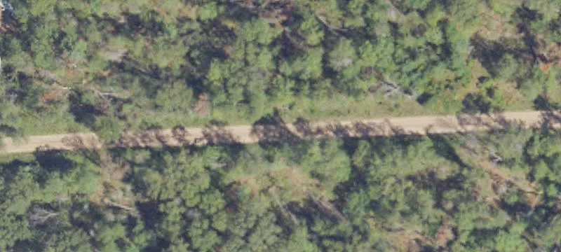 Vacant Land Parcel in Michigan