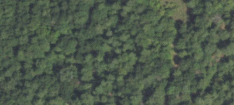 181+ Acres of Wooded Land