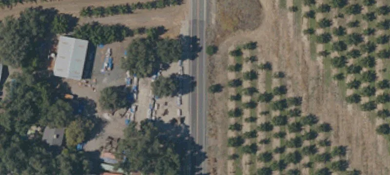 Chico Orchard Near Sacramento River
