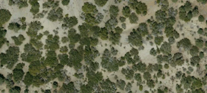 Buildable Lot in Desirable Neighborhood