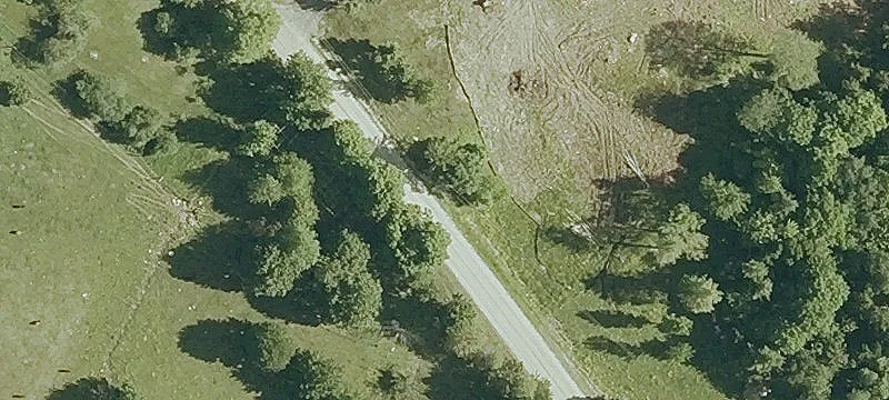 Fayston Land Abutting National Forest
