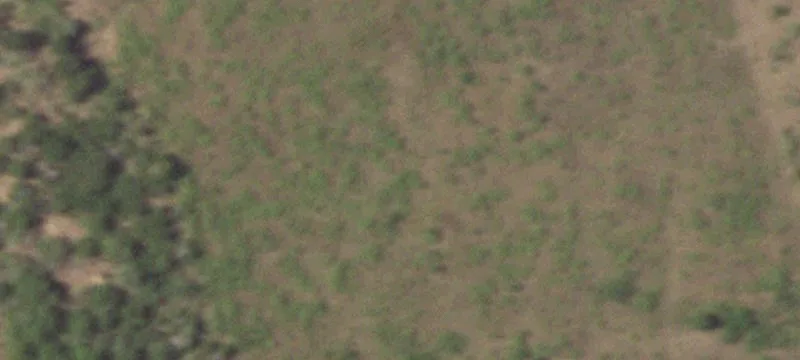 22 Acres with Tiny Home