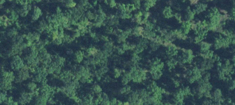 Rural Land with Timber Tract
