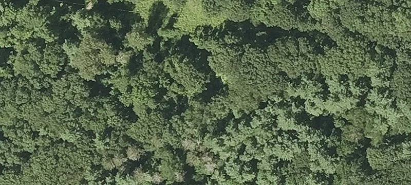 69+ Acre Development Opportunity