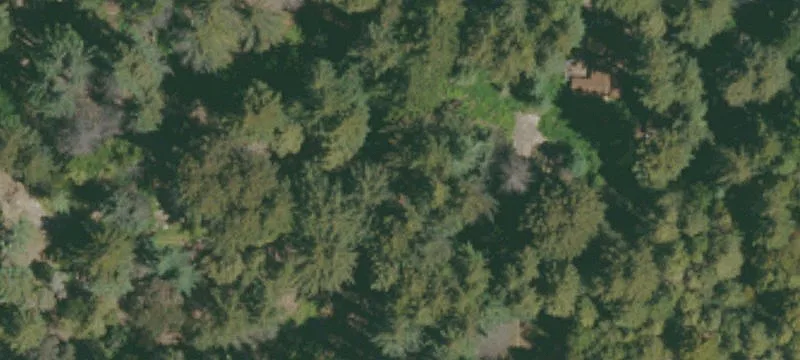 Residential Land in Forest Springs