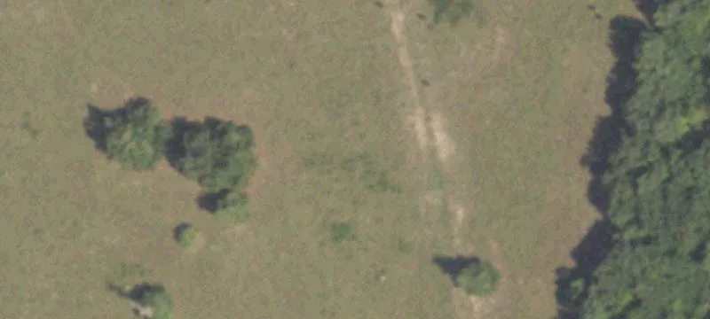 Land on Trinity River Frontage