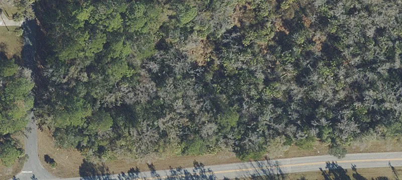 Land Near Gulf of Mexico