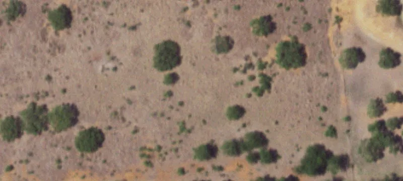 11.299 Acres Agricultural Land
