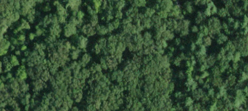 Catskills Agricultural Land with Brook