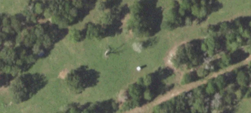 High-Fenced Ranch with Exotic Deer