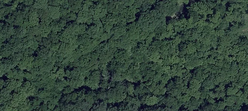 Residential Lots in Wilson Point