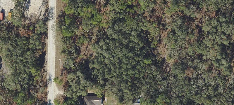 Wooded Lot Ready for Building