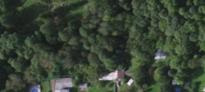 Land Near State Forests