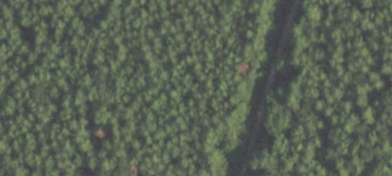 Wooded Lot in Patton Village