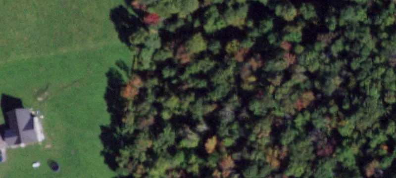 Heavily Wooded Land Parcel