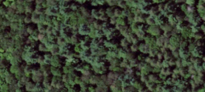 Land Near Chateaugay State Forest