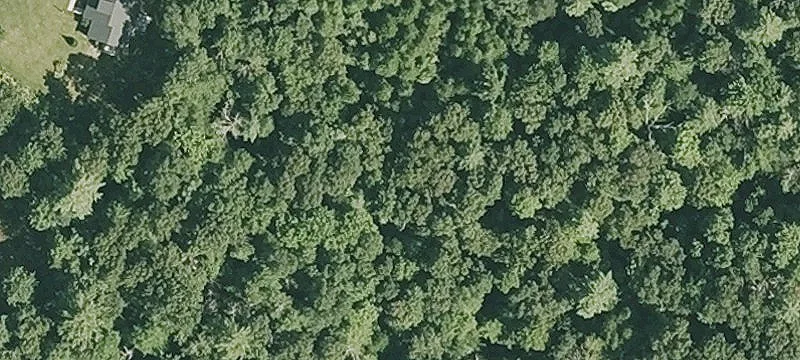 Beaver Lake Property for Sale