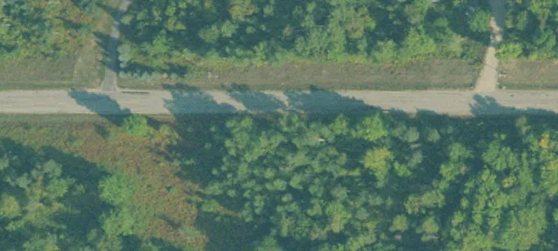 Wooded Land Near Public Land