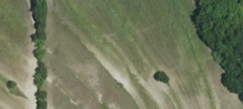 49.46 Acres in Van Alstyne