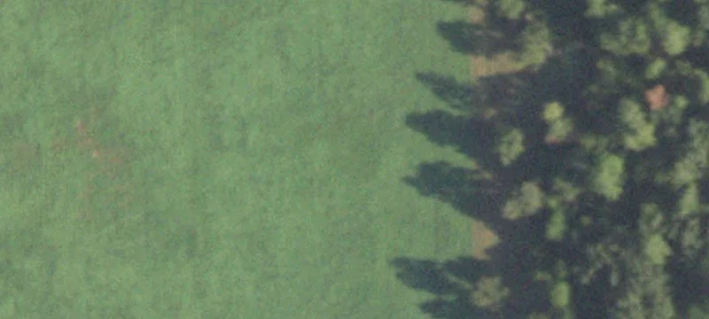 Land in Anderson, Texas