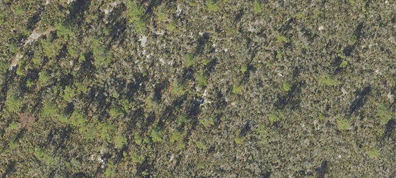 Residential Lot Near Lake Istokpoga