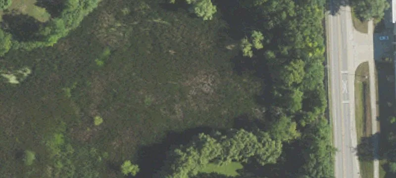 Wooded Lot on Scott Lake
