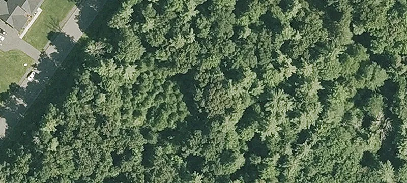 Beaver Lake Property for Sale