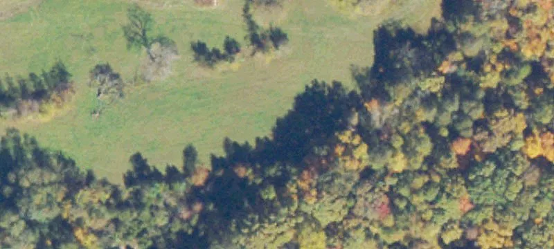 Louisa Specialty Property For Sale