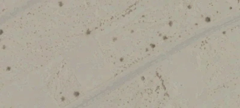 Vacant Lot in Lithium Valley