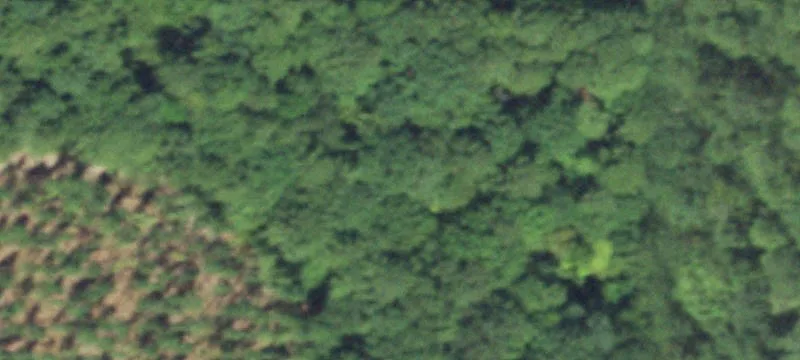 Two Acres of Land
