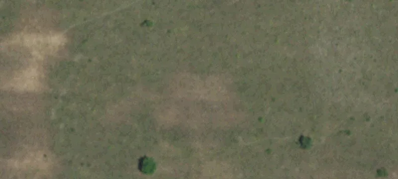 Extensive Land in Farmersville