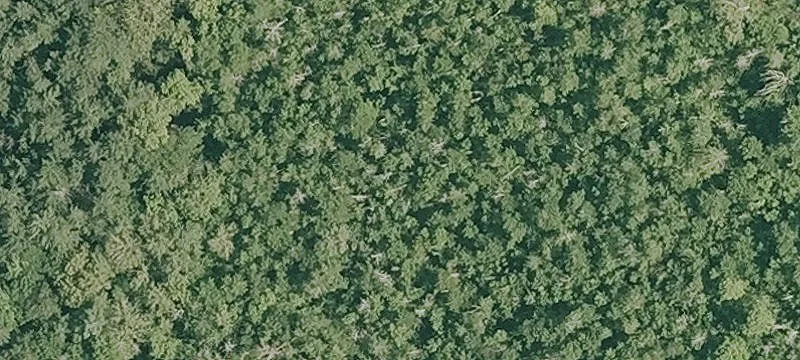 Land Available for Sale
