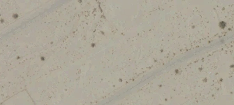 Residential Land in Growing Area