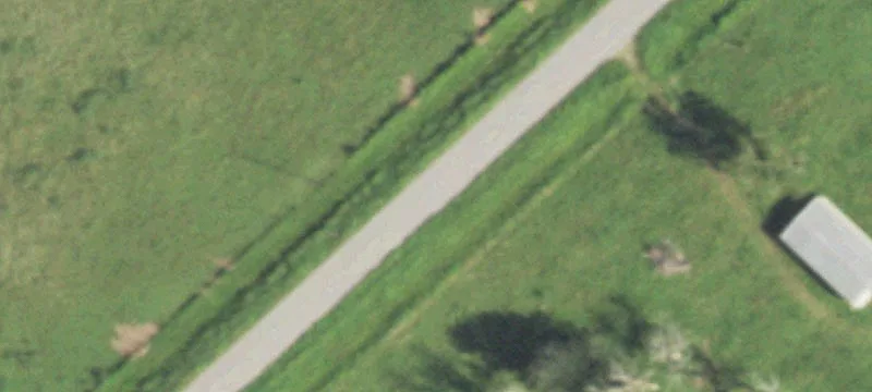 Cleared Land in Brazoria, TX