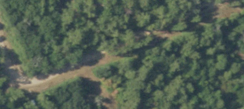 7.5 Acre Wooded Home Site