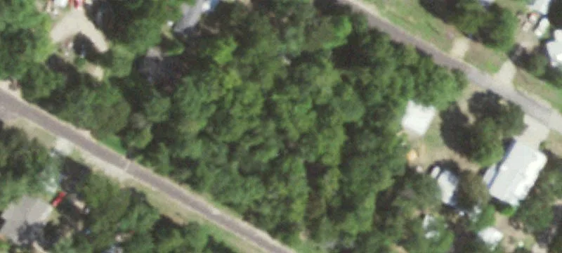 Wooded Lot Near Lake Livingston
