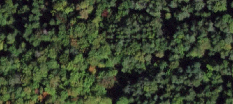 75 Acres of Recreational Land
