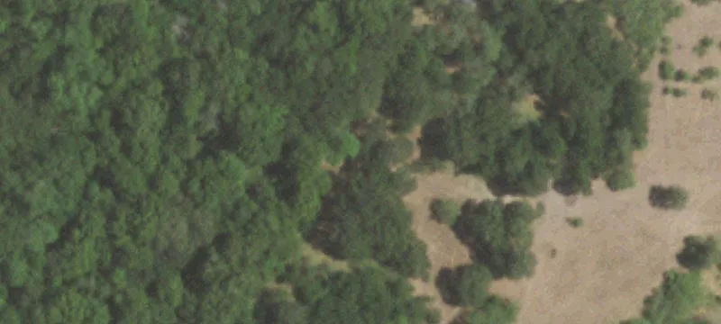 Cattle/Hunting Ranch with Plum Creek