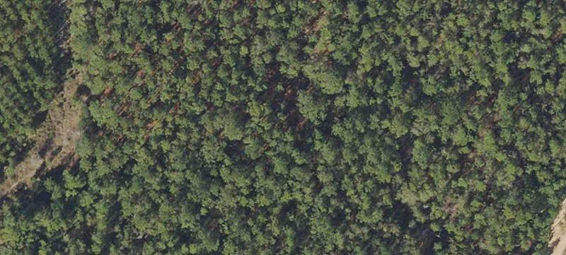 Residential Land in Caryville, FL