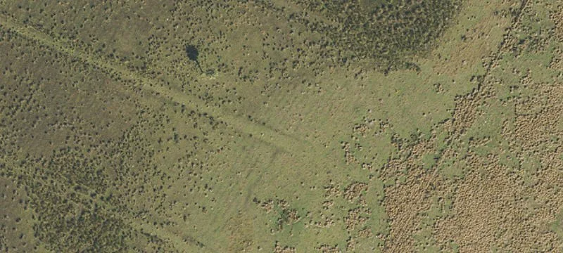 Undeveloped Land Near Okeechobee