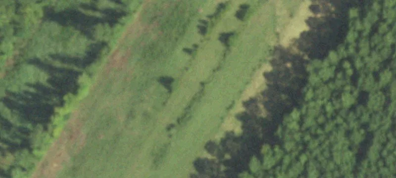 Land Near Lake Livingston