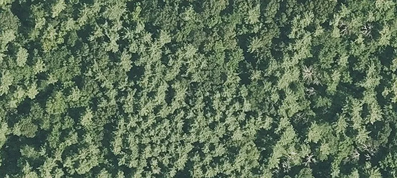 Expansive Residential Land in Shirley